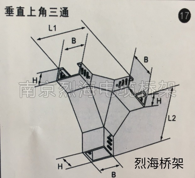 ֱϽͨ